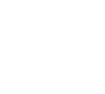 Devconnect e.U. Logo White